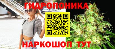 шишки Бузулук
