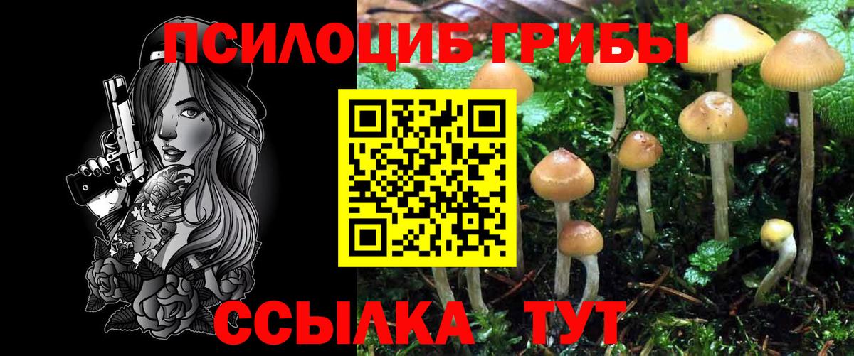 Заринск  Галлюциногенные грибы мухоморы  Вход с VPN 