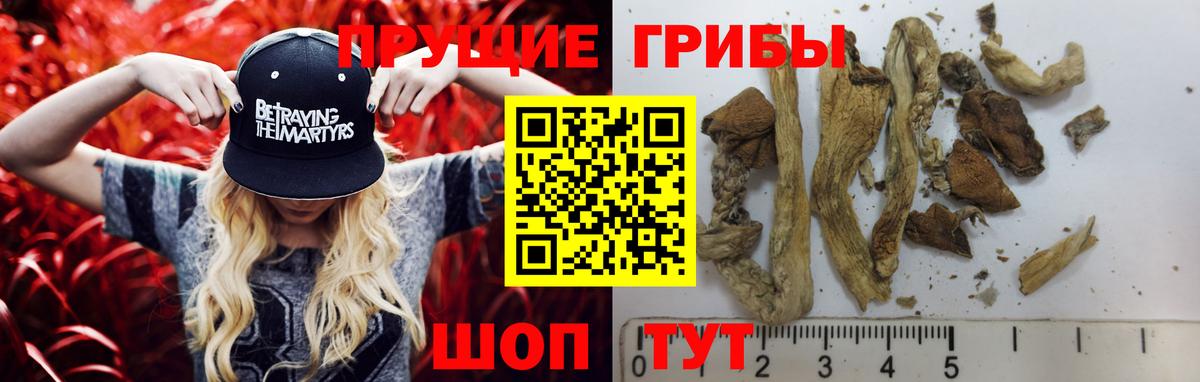 Галлюциногенные грибы Cubensis Заринск